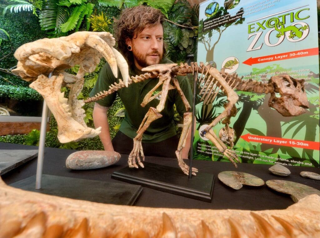 dinosaurs
