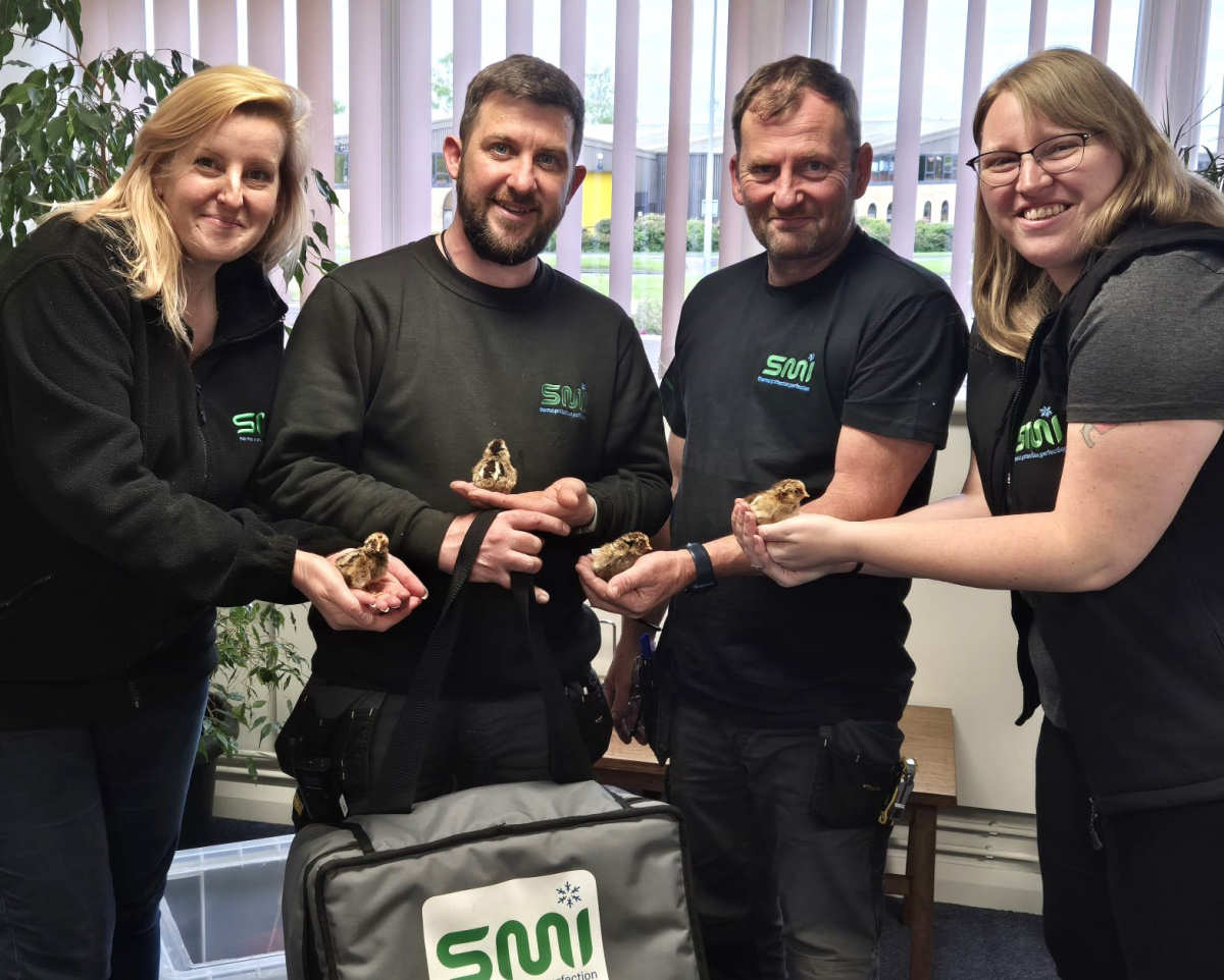 SMI team members with the baby chicks from left Jayne Meakin Matt Weaver Sean Edwards and Kirsty Murrell
