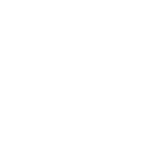 Pegasus White