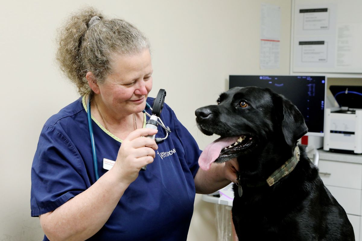 UNP Vets Now 47102 Telford009