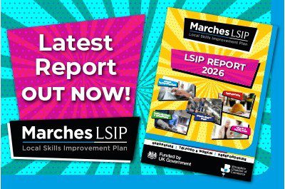 LSIP images